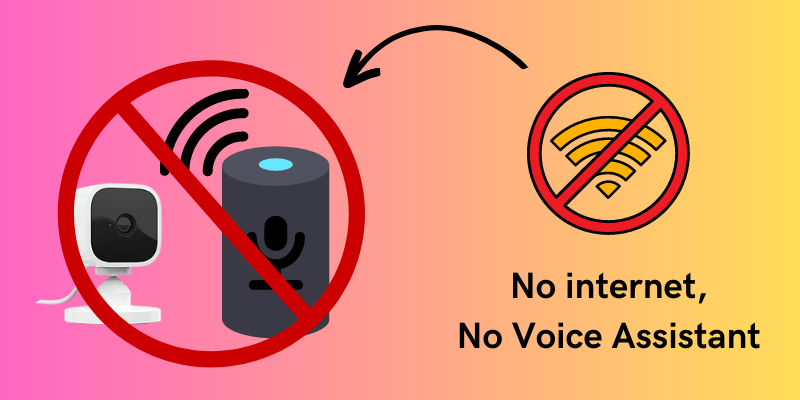 No internet,
No Voice Assistant