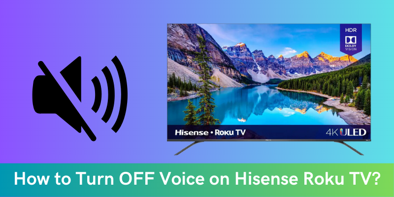 How to Turn OFF Voice on Hisense Roku TV?